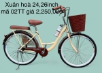 Xe đạp 24 - 26 inch mã 02TT